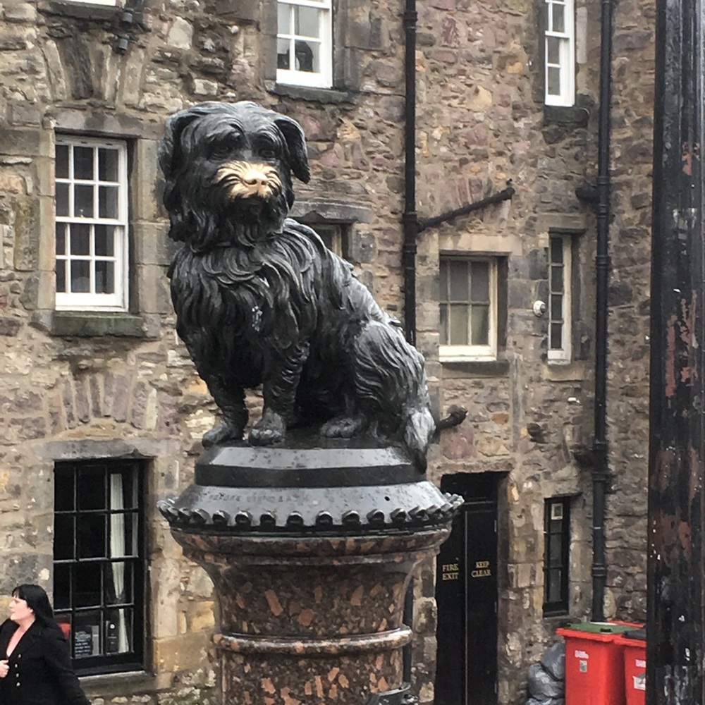 Meet your Posher, Diann